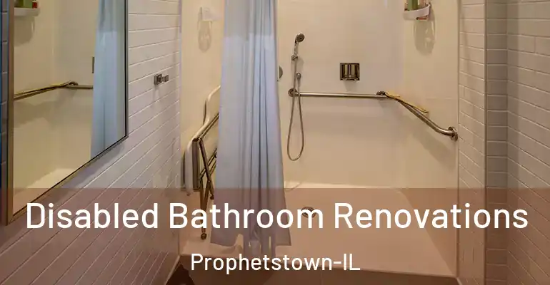 inner Bathroom imggen Disabled Bathroom Renovations Prophetstown-IL