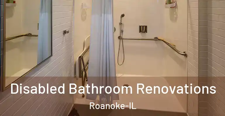 inner Bathroom imggen Disabled Bathroom Renovations Roanoke-IL