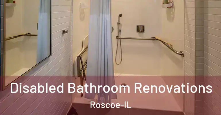 inner Bathroom imggen Disabled Bathroom Renovations Roscoe-IL