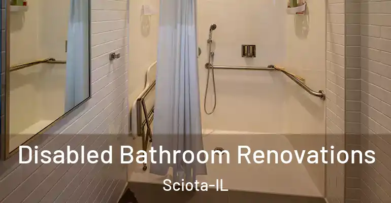inner Bathroom imggen Disabled Bathroom Renovations Sciota-IL