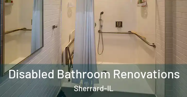 inner Bathroom imggen Disabled Bathroom Renovations Sherrard-IL