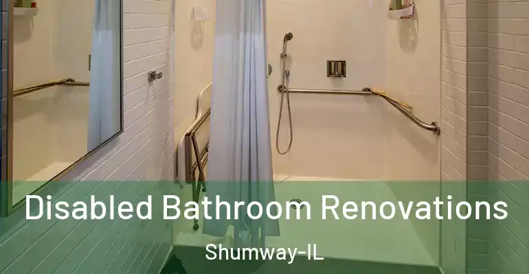 inner Bathroom imggen Disabled Bathroom Renovations Shumway-IL