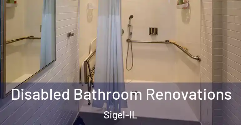inner Bathroom imggen Disabled Bathroom Renovations Sigel-IL
