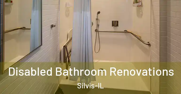 inner Bathroom imggen Disabled Bathroom Renovations Silvis-IL