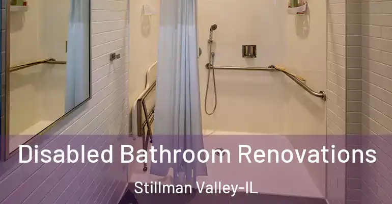 inner Bathroom imggen Disabled Bathroom Renovations Stillman Valley-IL