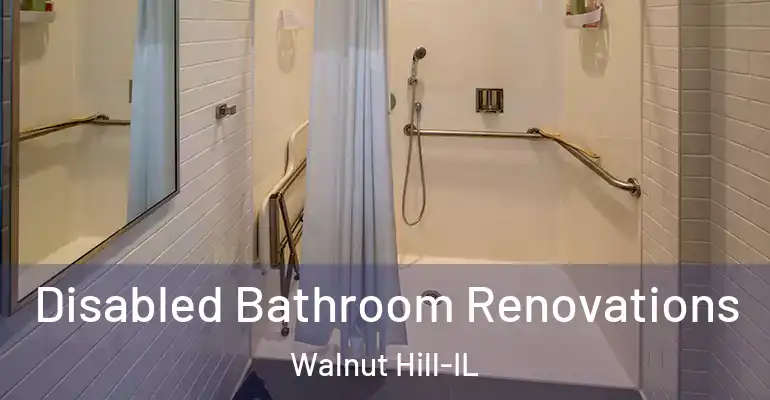 inner Bathroom imggen Disabled Bathroom Renovations Walnut Hill-IL
