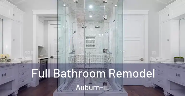 inner Bathroom imggen Full Bathroom Remodel Auburn-IL