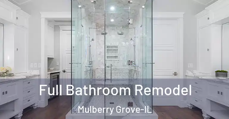 inner Bathroom imggen Full Bathroom Remodel Mulberry Grove-IL