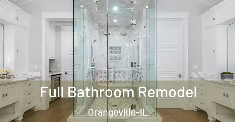 inner Bathroom imggen Full Bathroom Remodel Orangeville-IL