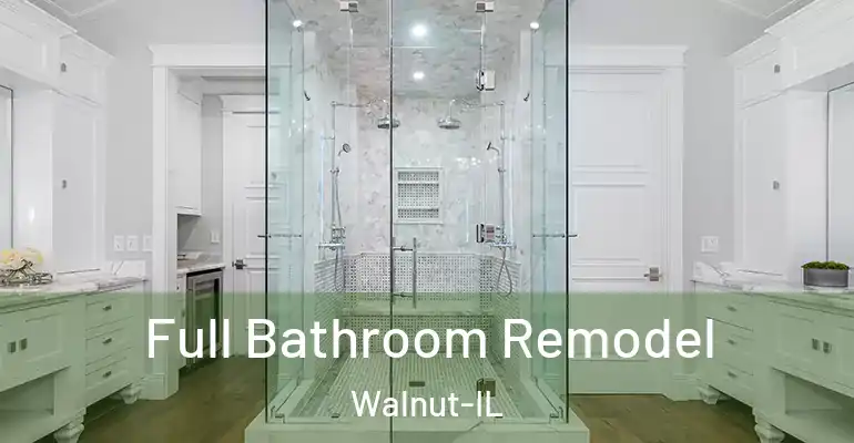 inner Bathroom imggen Full Bathroom Remodel Walnut-IL