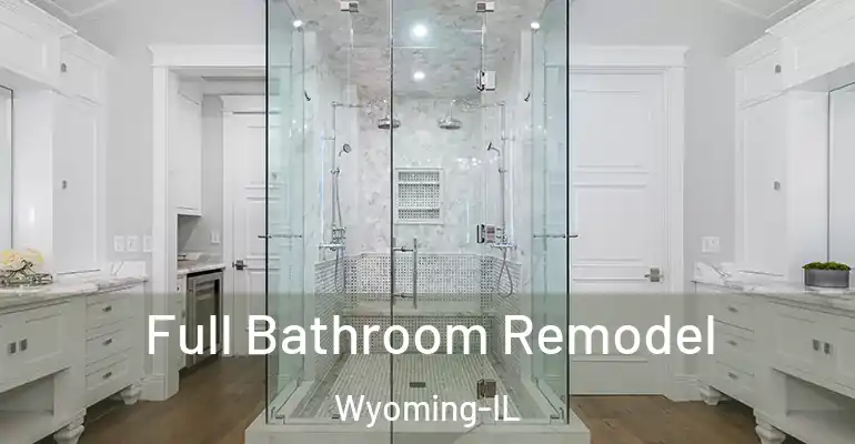 inner Bathroom imggen Full Bathroom Remodel Wyoming-IL