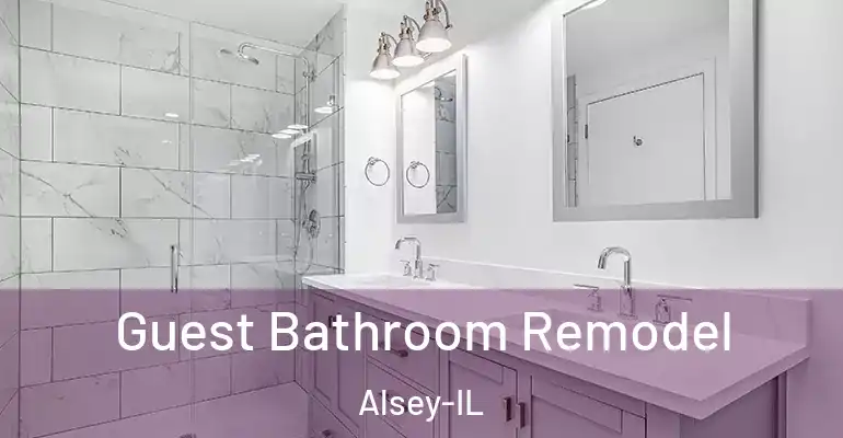 inner Bathroom imggen Guest Bathroom Remodel Alsey-IL
