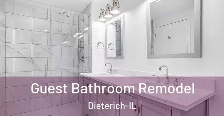inner Bathroom imggen Guest Bathroom Remodel Dieterich-IL