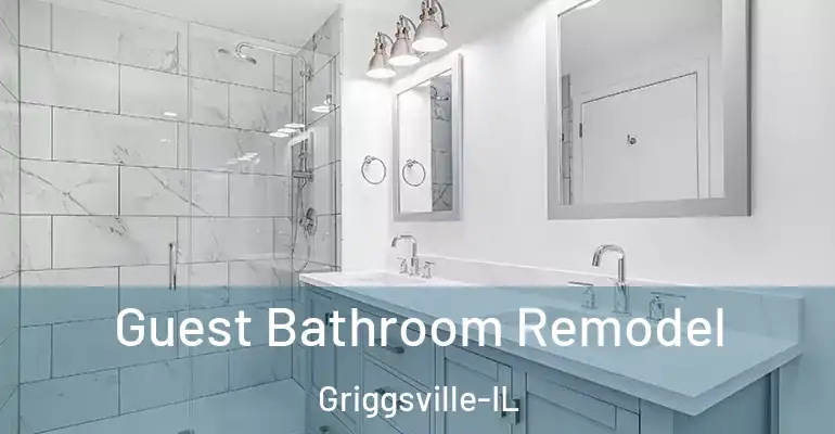inner Bathroom imggen Guest Bathroom Remodel Griggsville-IL