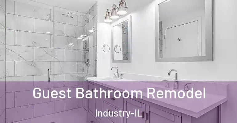 inner Bathroom imggen Guest Bathroom Remodel Industry-IL