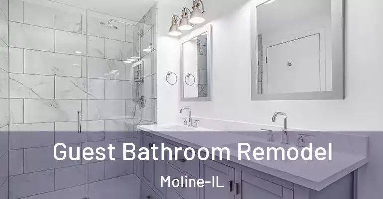 inner Bathroom imggen Guest Bathroom Remodel Moline-IL