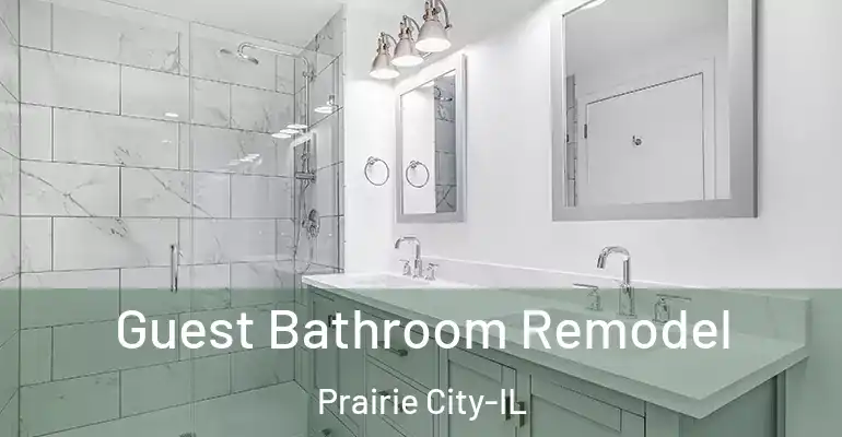 inner Bathroom imggen Guest Bathroom Remodel Prairie City-IL