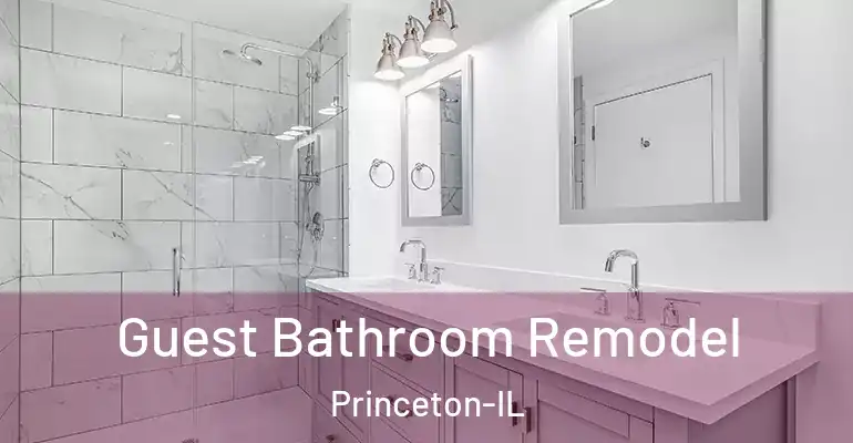 inner Bathroom imggen Guest Bathroom Remodel Princeton-IL