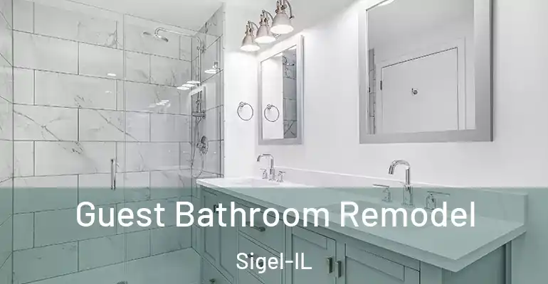 inner Bathroom imggen Guest Bathroom Remodel Sigel-IL