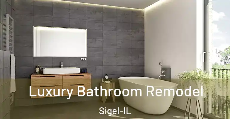 inner Bathroom imggen Luxury Bathroom Remodel Sigel-IL