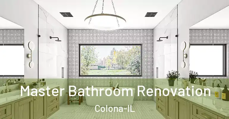 inner Bathroom imggen Master Bathroom Renovation Colona-IL