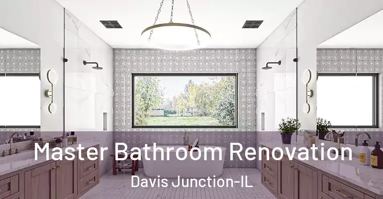 inner Bathroom imggen Master Bathroom Renovation Davis Junction-IL