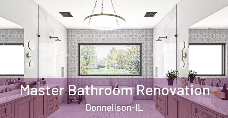 inner Bathroom imggen Master Bathroom Renovation Donnellson-IL