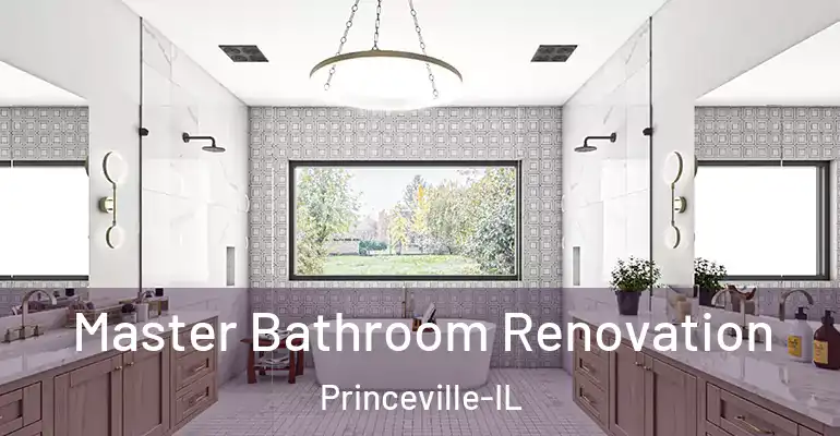 inner Bathroom imggen Master Bathroom Renovation Princeville-IL