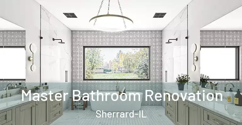 inner Bathroom imggen Master Bathroom Renovation Sherrard-IL