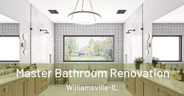 inner Bathroom imggen Master Bathroom Renovation Williamsville-IL