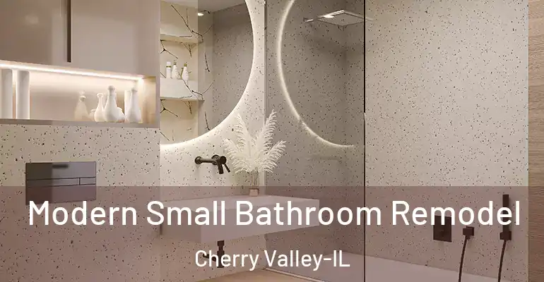 inner Bathroom imggen Modern Small Bathroom Remodel Cherry Valley-IL