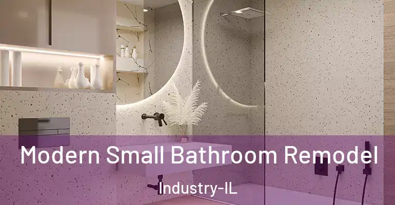 inner Bathroom imggen Modern Small Bathroom Remodel Industry-IL