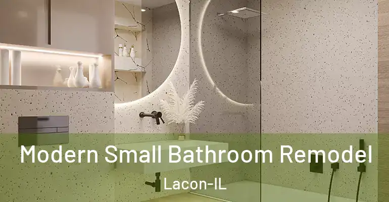 inner Bathroom imggen Modern Small Bathroom Remodel Lacon-IL