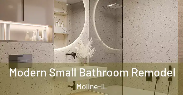 inner Bathroom imggen Modern Small Bathroom Remodel Moline-IL