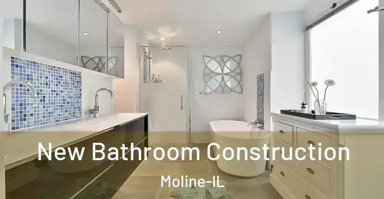 inner Bathroom imggen New Bathroom Construction Moline-IL