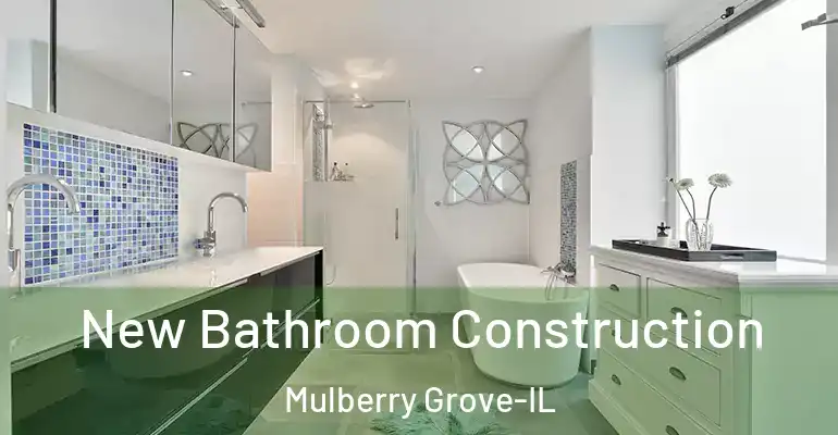 inner Bathroom imggen New Bathroom Construction Mulberry Grove-IL
