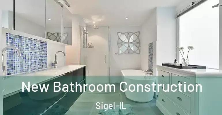 inner Bathroom imggen New Bathroom Construction Sigel-IL