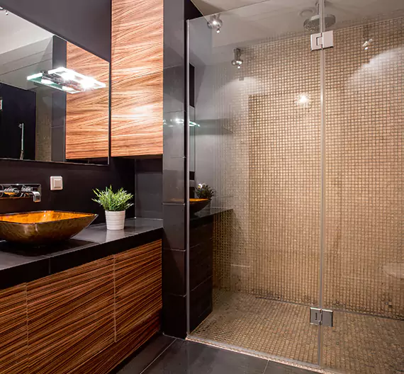 Why Choose Waypoint Bathroom Remodeling for Quality Tub to Shower Conversion Services in Peoria, IL?