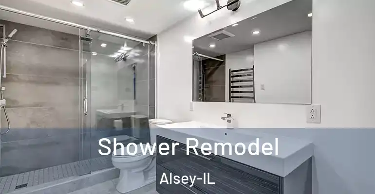 inner Bathroom imggen Shower Remodel Alsey-IL
