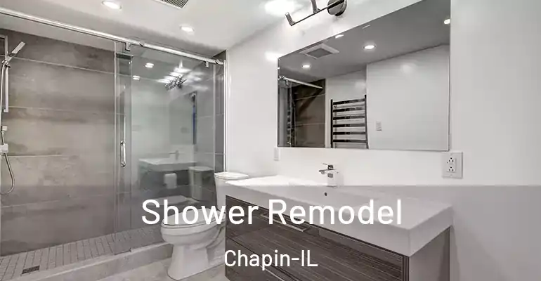 inner Bathroom imggen Shower Remodel Chapin-IL