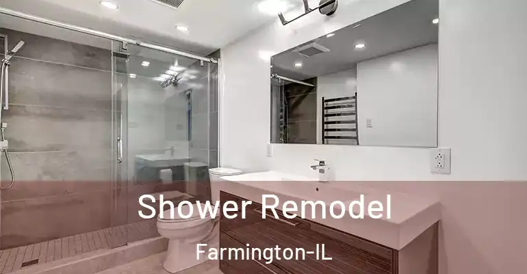 inner Bathroom imggen Shower Remodel Farmington-IL