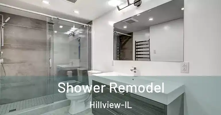 inner Bathroom imggen Shower Remodel Hillview-IL