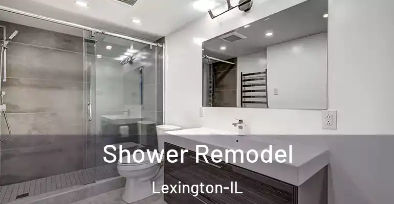 inner Bathroom imggen Shower Remodel Lexington-IL