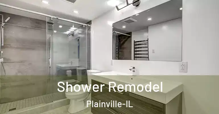 inner Bathroom imggen Shower Remodel Plainville-IL
