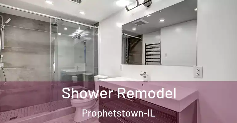 inner Bathroom imggen Shower Remodel Prophetstown-IL
