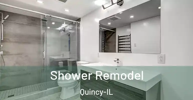 inner Bathroom imggen Shower Remodel Quincy-IL