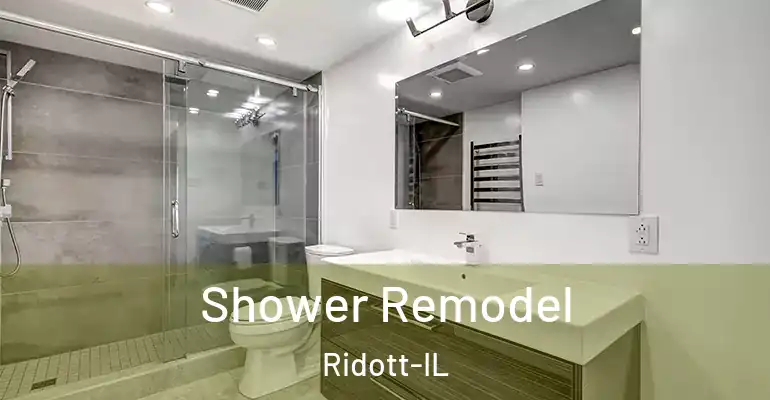 inner Bathroom imggen Shower Remodel Ridott-IL