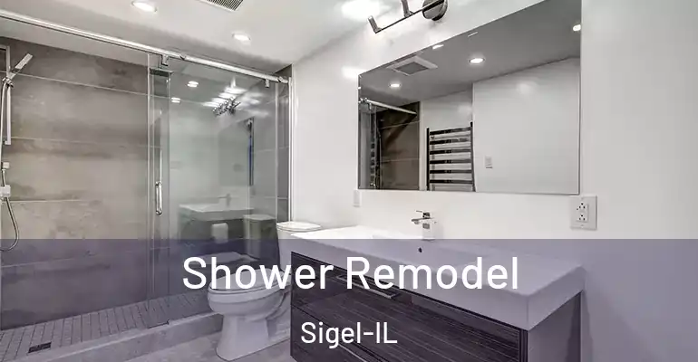 inner Bathroom imggen Shower Remodel Sigel-IL