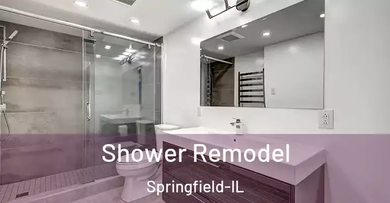 inner Bathroom imggen Shower Remodel Springfield-IL