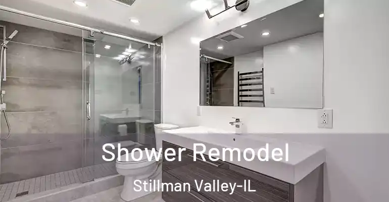 inner Bathroom imggen Shower Remodel Stillman Valley-IL